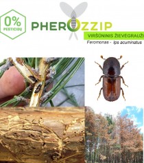 Feromonas VIRŠŪNINIUI ŽIEVĖGRAUŽIUI (Ips acuminatus) Pherozzip, 1 vnt